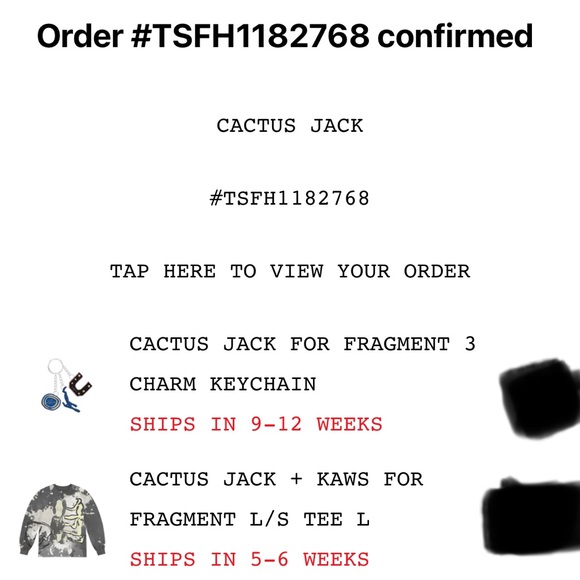Cactus Jack X Fragment X Kaws long sleeve T-shirt. - Picture 6 of 6